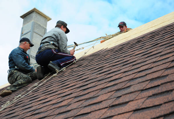 Best Residential Roof Replacement  in Richmond, MI